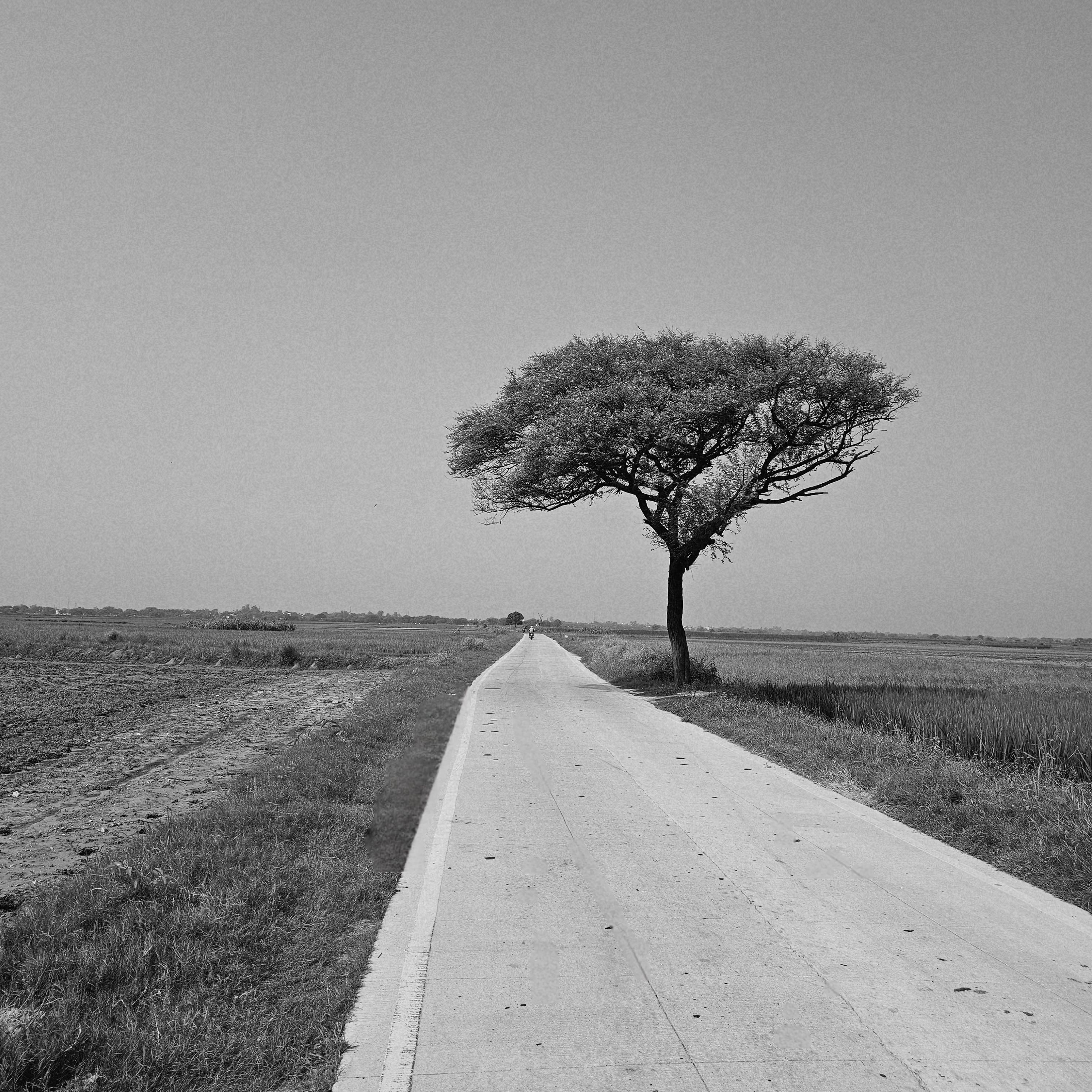 Road Appointments — market location
